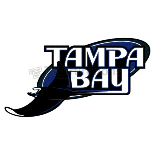 Tampa Bay Rays T-shirts Iron On Transfers N1949 - Click Image to Close